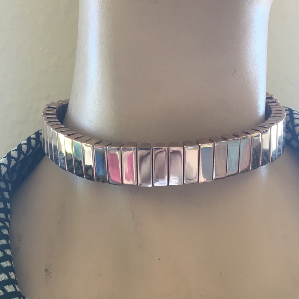 Michael Kors dog collar neck